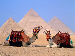Tapeta Egypt 047.jpg